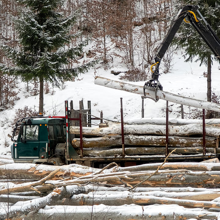 Telematik für Holz- und Forstwirtschaft: Auf und abseits der Straßen alles im Blick